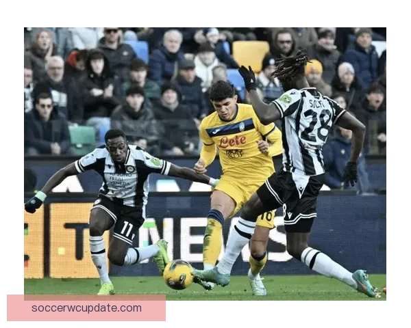 维罗纳球迷对法焦利发出歧视性口号 古德蒙德松随即回应事件曝光